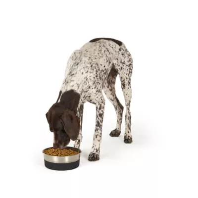 Top Paw® Stainless Steel Black Rubber Dog Bowl - Image 6