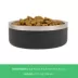 Top Paw® Insulated Stainless Steel Dog Bowl 27 FL OZ image thumbnail 4