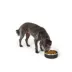 Top Paw® Insulated Stainless Steel Dog Bowl 27 FL OZ image thumbnail 6
