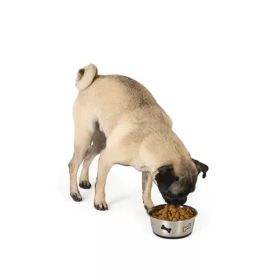 Top Paw® Stainless Steel Bone Print Dog Bowl 12oz, 27oz - Image 6