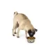 Top Paw® Stainless Steel Bone Print Dog Bowl 12oz, 27oz image thumbnail 6