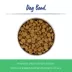 Top Paw® Stainless Steel Bone Print Dog Bowl 12oz, 27oz image thumbnail 2