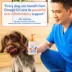 Native Pet Dog Omega-3 Fish Oil & Alaskan Salmon Oil Skin & Coat Health Supplement- 8, 16 & 32 fl oz image thumbnail 5