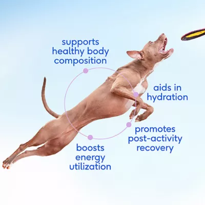 Native Pet Goat Milk for Dogs - Image 3