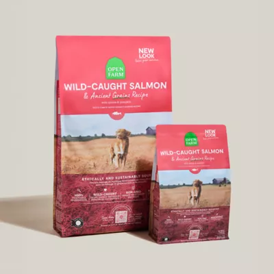 Open Farm With Grain Adult Dry Dog Food - Humanely Raised & Sustainably Sourced, Salmon - Image 5