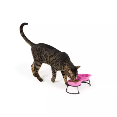 Whisker City® Cat Motif Double Diner Bowls - Image 2