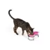 Whisker City® Cat Motif Double Diner Bowls image thumbnail 2