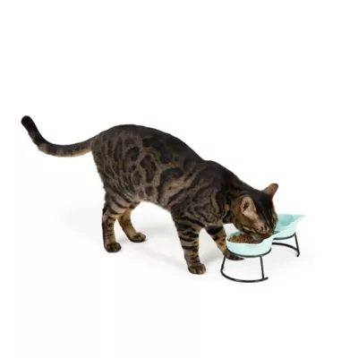 Whisker City® Cat Motif Double Diner Bowls - Image 2