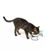 Whisker City® Cat Motif Double Diner Bowls image thumbnail 2