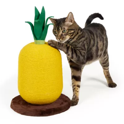 Whisker City® Pineapple WOW Cat Scratcher - Image 1