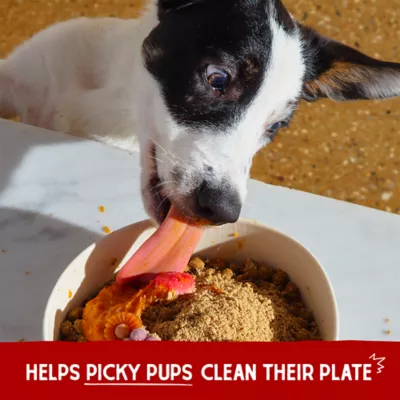 Stella & Chewy's Marie's Magical Dinner Dust Grain Free Dog Meal Topper - Chicken - Image 6