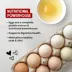 Stella & Chewy's Marie's Magical Breakfast SprinklesDog Meal Topper - Bacon, Egg & Cheese image thumbnail 6