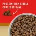 Stella & Chewy's Wild Red With Grain Adult Dry Dog Food - Freeze-Dried, Raw Coated, Prairie Recipe image thumbnail 2