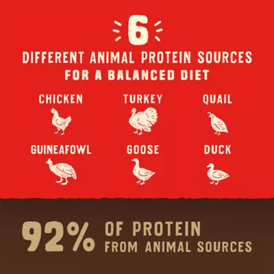 Stella & Chewy's Wild Red Grain Free Adult Dry Dog Food - Freeze-Dried, Raw Coated, Prairie Recipe - Image 5