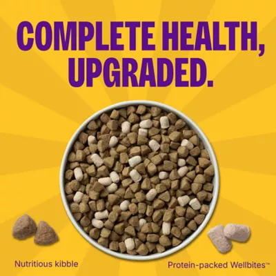 Wellness Complete Health+ Chicken Recipe Dry Dog Food - Image 4
