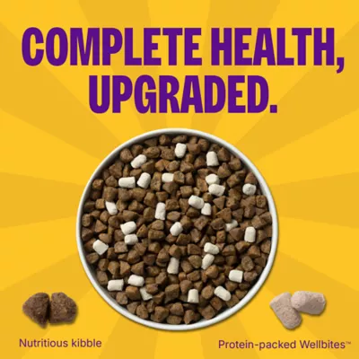 Wellness Complete Health+ Whitefish & Sweet Potato Recipe Dry Dog Food - Image 4