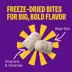 Wellness Complete Health+ Whitefish & Sweet Potato Recipe Dry Dog Food image thumbnail 6