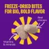 Wellness Complete Health+ Small Breed Turkey & Oatmeal Dry Dog Food image thumbnail 5