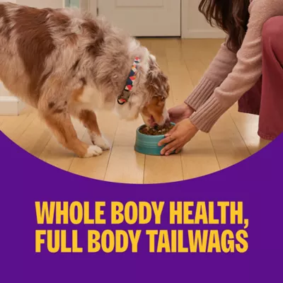 Wellness Complete Health+ Small Breed Turkey & Oatmeal Dry Dog Food - Image 6