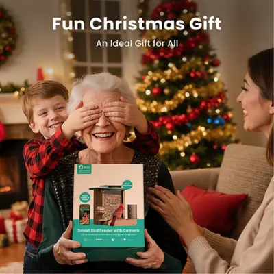 Product Birdfy Smart Feeder Cedar