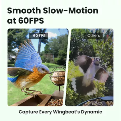 Product Birdfy Smart Feeder Cedar