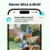 Birdfy Smart Feeder with Lifetime AI, Cedar D image thumbnail 4