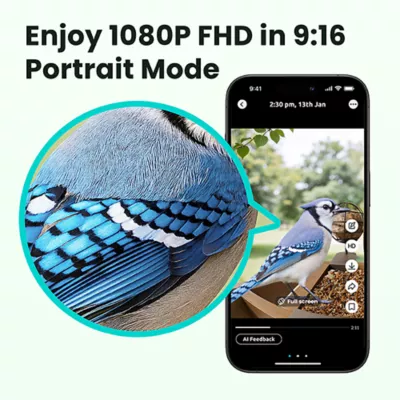 Product Birdfy Smart Feeder Cedar