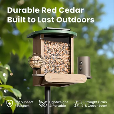 Product Birdfy Smart Feeder Cedar