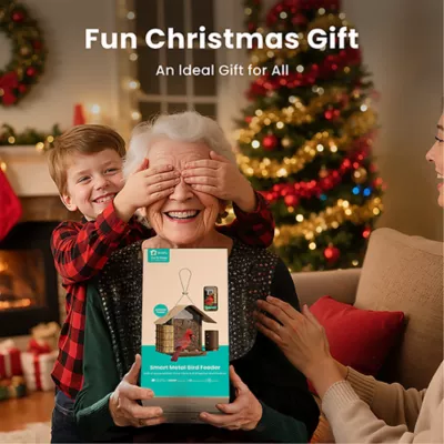 Product Birdfy Smart Metal Bird Feeder