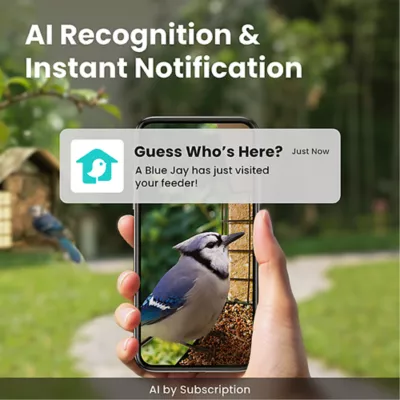 Product Birdfy Smart Metal Bird Feeder