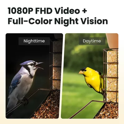 Product Birdfy Smart Metal Bird Feeder