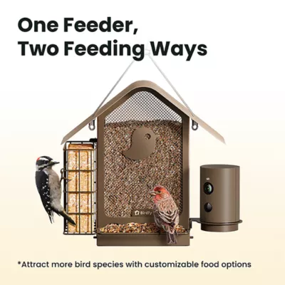 Product Birdfy Smart Metal Bird Feeder