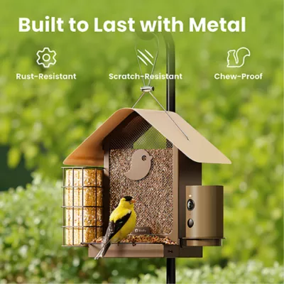 Product Birdfy Smart Metal Bird Feeder