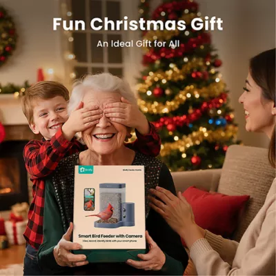 Product Birdfy Smart Bird Feeder Rookie