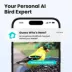 Birdfy Smart Bird Feeder Rookie image thumbnail 3
