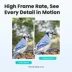Birdfy Smart Bird Feeder Rookie image thumbnail 4