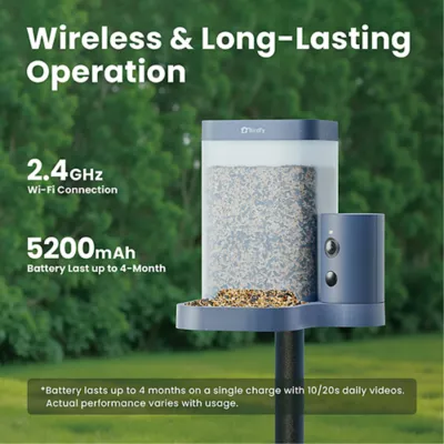 Product Birdfy Smart Bird Feeder Rookie