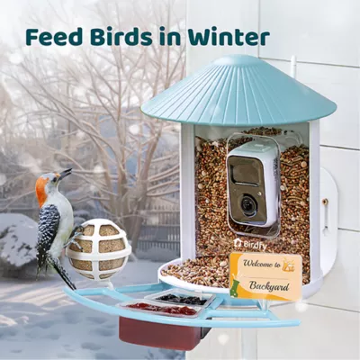 Product Birdfy Pro Perch