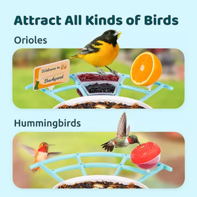 Product Birdfy Pro Perch