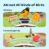 Birdfy Pro Perch image thumbnail 3