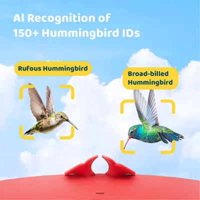 Product Birdfy Smart Hummingbird Feeder