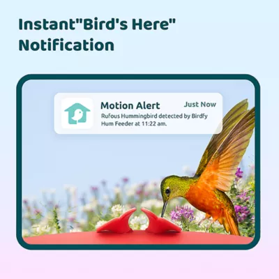 Product Birdfy Smart Hummingbird Feeder