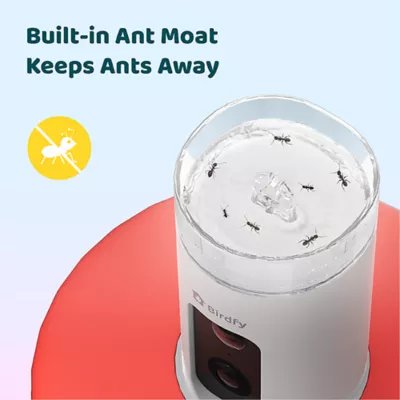 Product Birdfy Smart Hummingbird Feeder