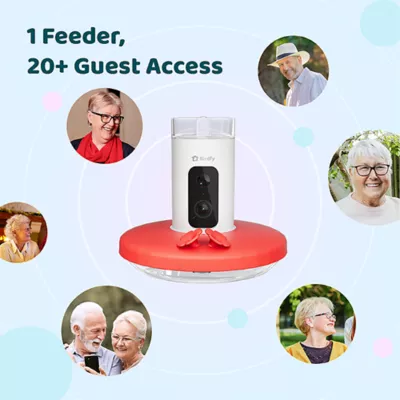 Product Birdfy Smart Hummingbird Feeder
