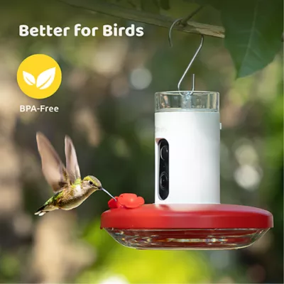 Product Birdfy Smart Hummingbird Feeder