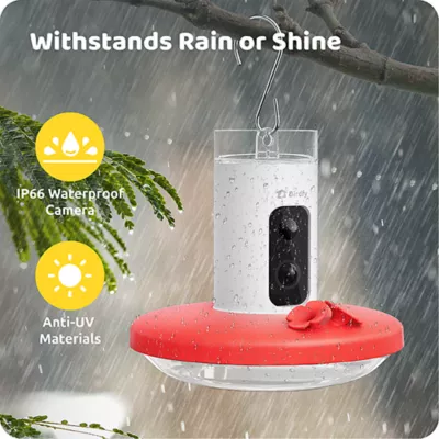 Product Birdfy Smart Hummingbird Feeder