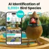 Birdfy Smart Feeder Bamboo with Lifetime AI image thumbnail 2