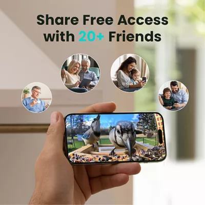 Product Birdfy Smart Bamboo Feeder with AI Identification