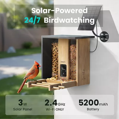 Product Birdfy Smart Bamboo Feeder with AI Identification