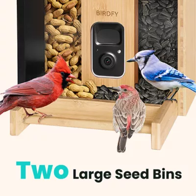 Product Birdfy Smart Bamboo Feeder with AI Identification